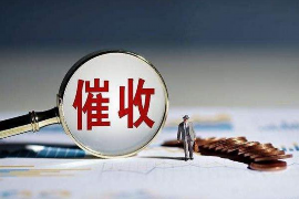 大石桥工资清欠服务